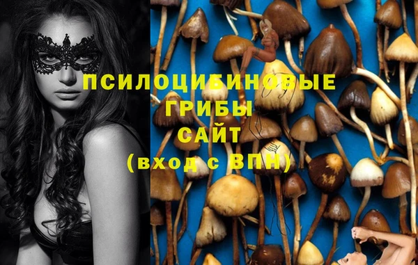 винт Горнозаводск