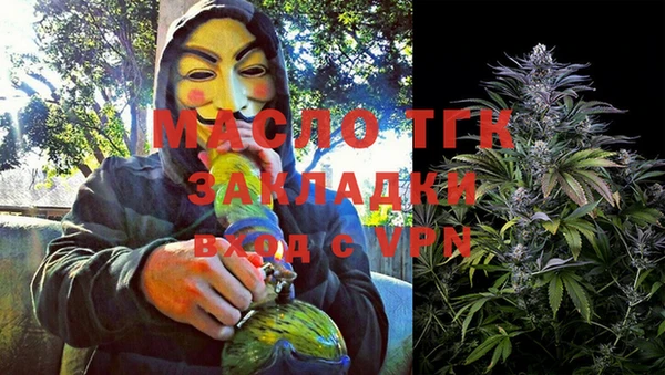 гашик Ветлуга